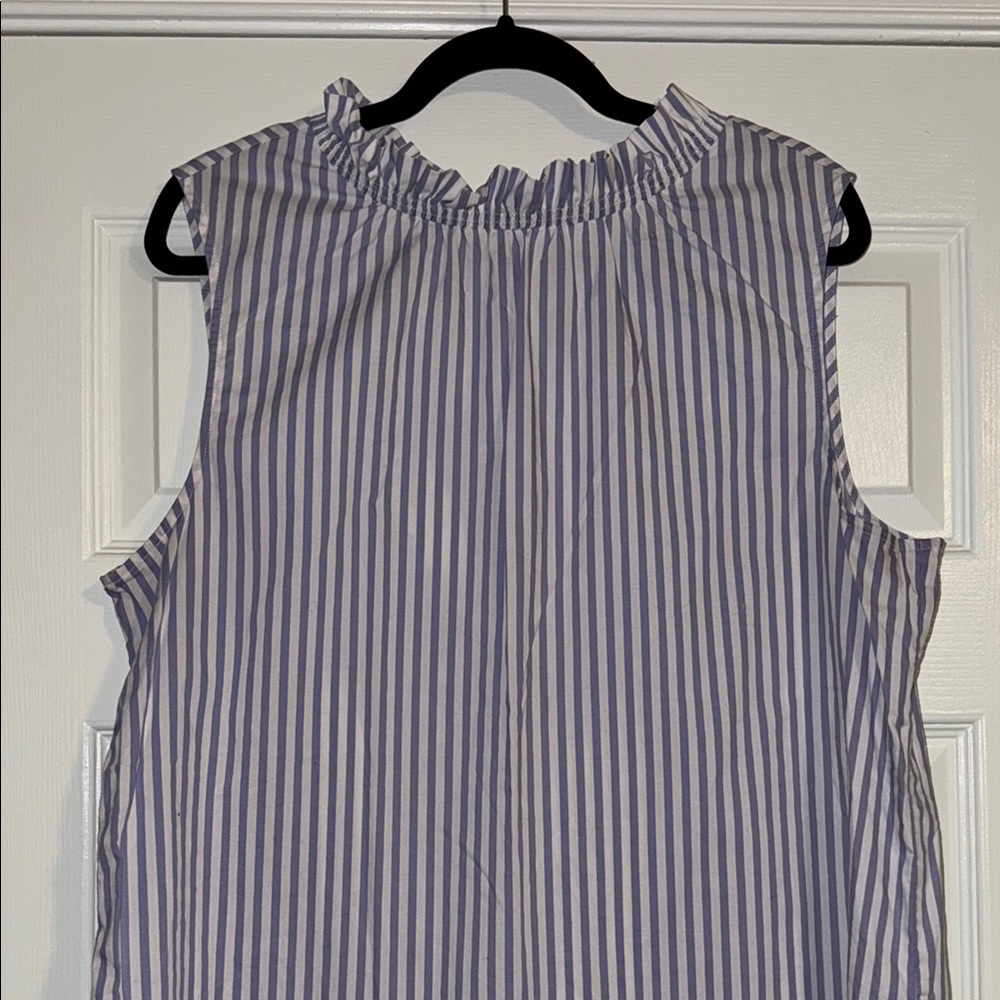 Banana Republic White and Blue Ruffled Sleeveless Blouse